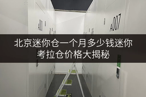 北京迷你仓一个月多少钱迷你考拉仓价格大揭秘