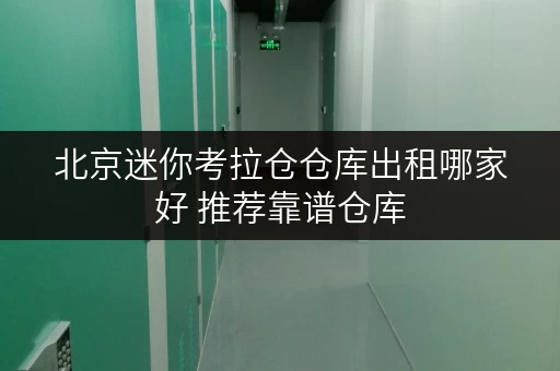 北京迷你考拉仓仓库出租哪家好 推荐靠谱仓库