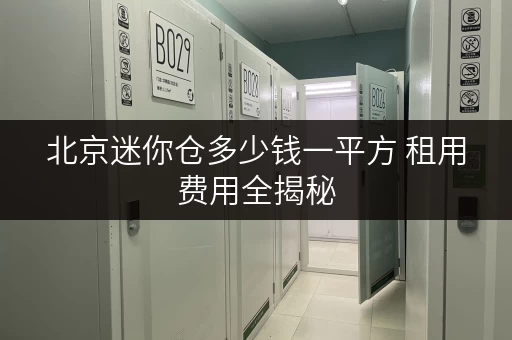 北京迷你仓多少钱一平方 租用费用全揭秘
