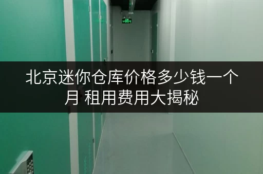 北京迷你仓库价格多少钱一个月 租用费用大揭秘 北京迷你仓库价格多少钱一个月 租用费用大揭秘