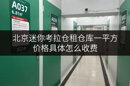 北京迷你考拉仓租仓库一平方价格具体怎么收费