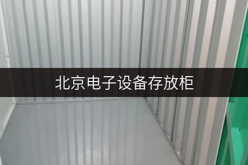 北京电子设备存放柜 北京电子设备存放柜