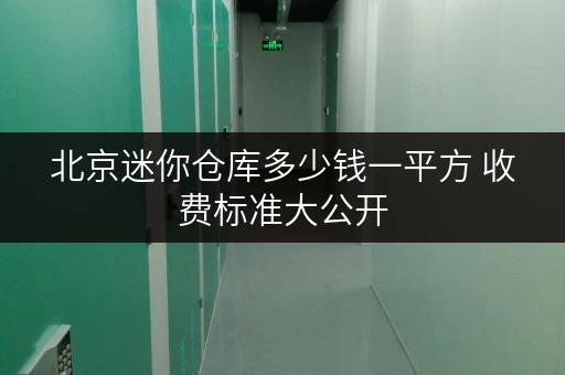 北京迷你仓库多少钱一平方 收费标准大公开