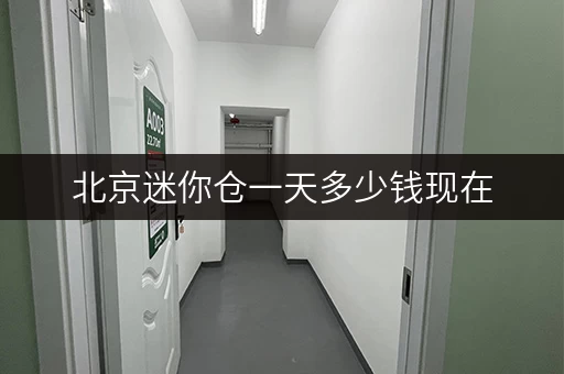 北京迷你仓一天多少钱现在 北京迷你仓一天多少钱现在