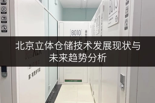 北京立体仓储技术发展现状与未来趋势分析