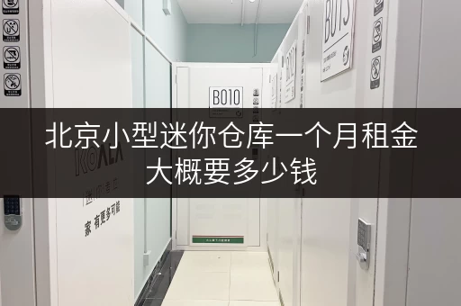 北京小型迷你仓库一个月租金大概要多少钱