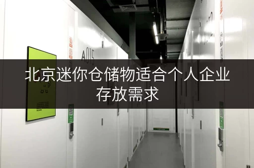 北京迷你仓储物适合个人企业存放需求