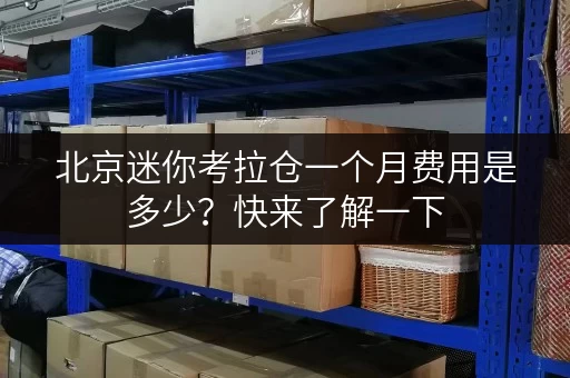 北京迷你考拉仓一个月费用是多少？快来了解一下