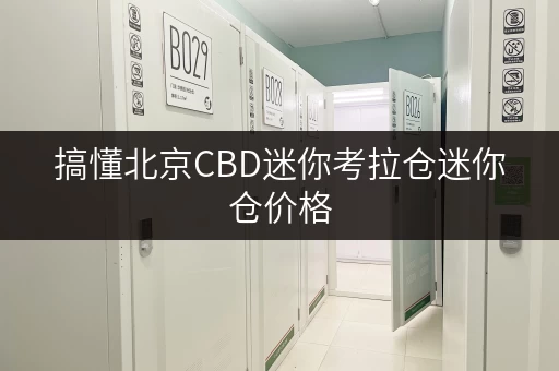 搞懂北京CBD迷你考拉仓迷你仓价格，存储不花冤枉钱