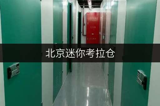 北京迷你考拉仓，专业自助仓储，满足个人企业多样存储需求