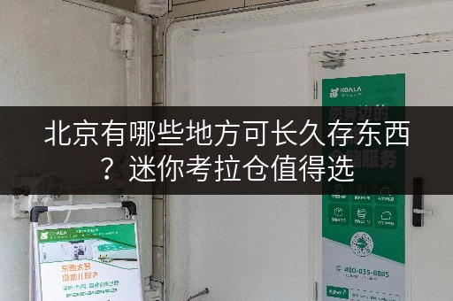 北京有哪些地方可长久存东西?迷你考拉仓值得选 北京有哪些地方可长久存东西?迷你考拉仓值得选