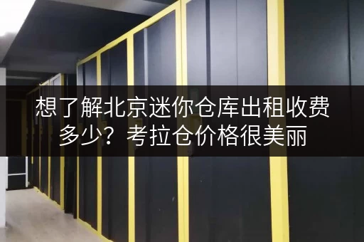 想了解北京迷你仓库出租收费多少?考拉仓价格很美丽 想了解北京迷你仓库出租收费多少?考拉仓价格很美丽