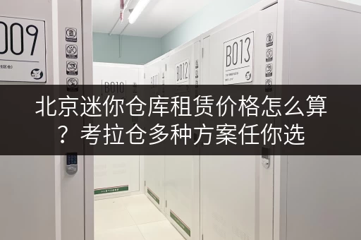 北京迷你仓库租赁价格怎么算?考拉仓多种方案任你选 北京迷你仓库租赁价格怎么算?考拉仓多种方案任你选