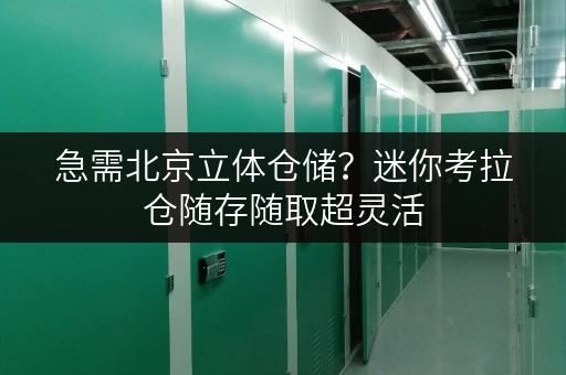急需北京立体仓储?迷你考拉仓随存随取超灵活 急需北京立体仓储?迷你考拉仓随存随取超灵活