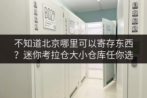 不知道北京哪里可以寄存东西?迷你考拉仓大小仓库任你选 不知道北京哪里可以寄存东西?迷你考拉仓大小仓库任你选