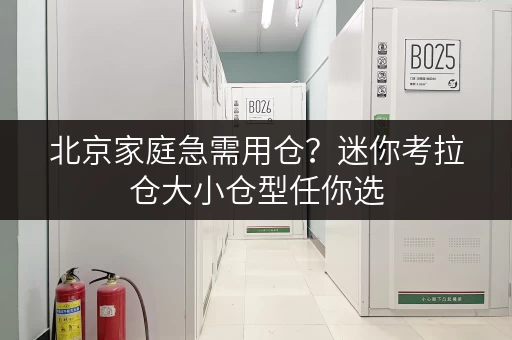 北京家庭急需用仓?迷你考拉仓大小仓型任你选 北京家庭急需用仓?迷你考拉仓大小仓型任你选