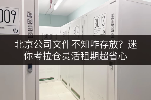 北京公司文件不知咋存放?迷你考拉仓灵活租期超省心 北京公司文件不知咋存放?迷你考拉仓灵活租期超省心