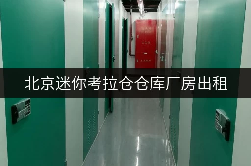 北京迷你考拉仓仓库厂房出租,24小时监控保障物品安全 北京迷你考拉仓仓库厂房出租,24小时监控保障物品安全