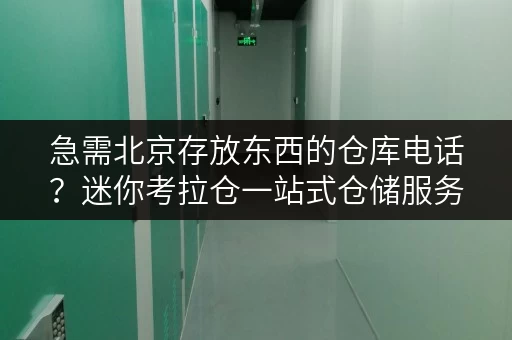 急需北京存放东西的仓库电话?迷你考拉仓一站式仓储服务 急需北京存放东西的仓库电话?迷你考拉仓一站式仓储服务
