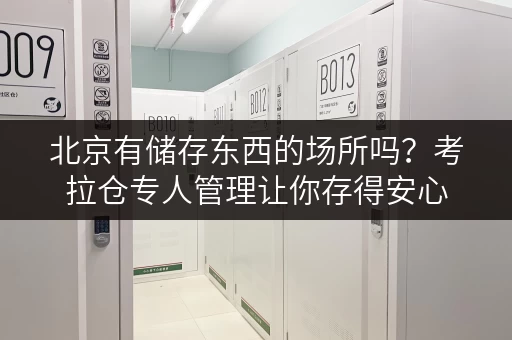 北京有储存东西的场所吗?考拉仓专人管理让你存得安心 北京有储存东西的场所吗?考拉仓专人管理让你存得安心