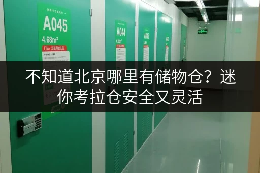 不知道北京哪里有储物仓？迷你考拉仓安全又灵活
