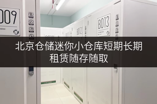 北京仓储迷你小仓库短期长期租赁随存随取 北京仓储迷你小仓库短期长期租赁随存随取