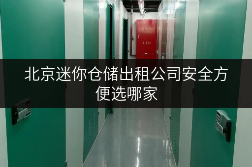 北京迷你仓储出租公司安全方便选哪家 北京迷你仓储出租公司安全方便选哪家