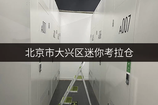 北京市大兴区迷你考拉仓,多区连锁,为您解决存储大难题 北京市大兴区迷你考拉仓,多区连锁,为您解决存储大难题