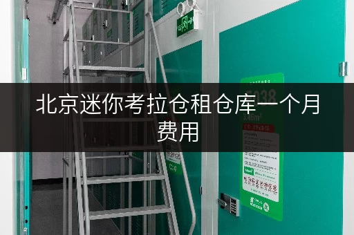 北京迷你考拉仓租仓库一个月费用，性价比超高别错过