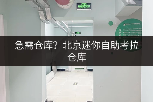 急需仓库？北京迷你自助考拉仓库，直租无中介费超划算