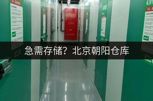 急需存储？北京朝阳仓库，安全便捷，随存随取超省心