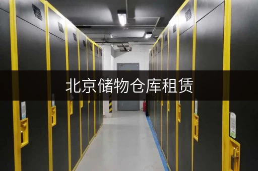 北京储物仓库租赁，迷你考拉仓随存随取超方便
