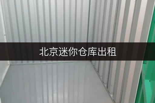 北京迷你仓库出租，环境好价格低，解决您的存储大难题