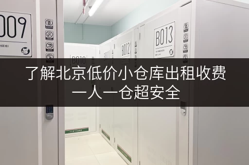 了解北京低价小仓库出租收费 一人一仓超安全