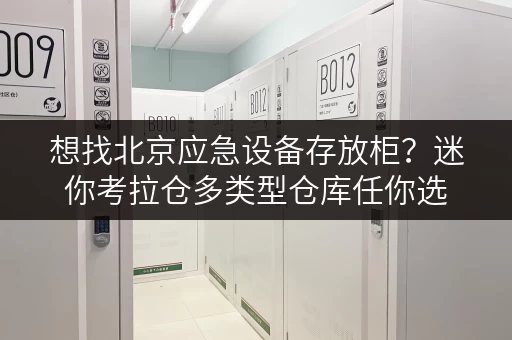 想找北京应急设备存放柜？迷你考拉仓多类型仓库任你选
