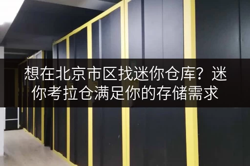 想在北京市区找迷你仓库?迷你考拉仓满足你的存储需求 想在北京市区找迷你仓库?迷你考拉仓满足你的存储需求