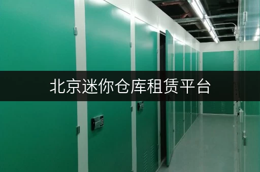 北京迷你仓库租赁平台，大小仓型任你自由挑选