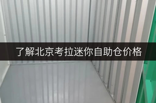 了解北京考拉迷你自助仓价格,这些因素你得知道 了解北京考拉迷你自助仓价格,这些因素你得知道