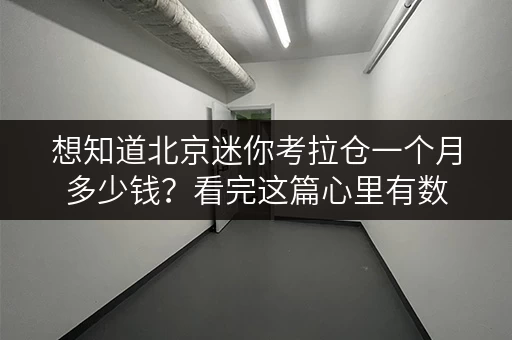 想知道北京迷你考拉仓一个月多少钱？看完这篇心里有数