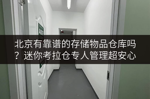 北京有靠谱的存储物品仓库吗?迷你考拉仓专人管理超安心 北京有靠谱的存储物品仓库吗?迷你考拉仓专人管理超安心