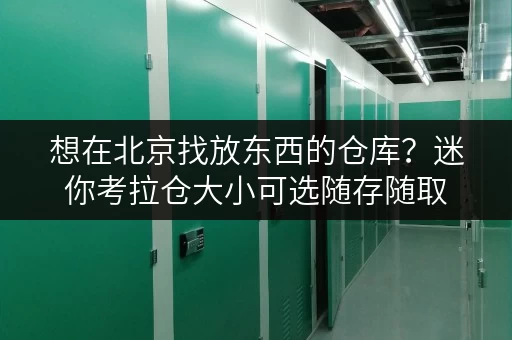 想在北京找放东西的仓库？迷你考拉仓大小可选随存随取