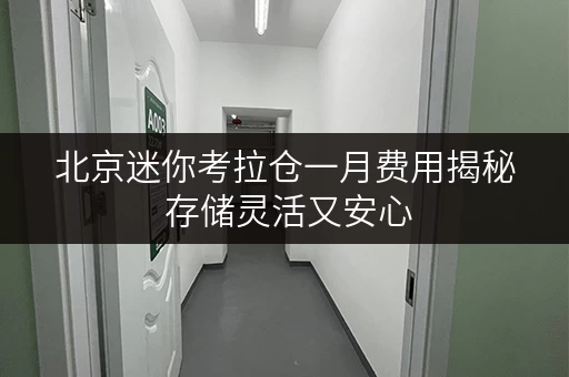 北京迷你考拉仓一月费用揭秘 存储灵活又安心 北京迷你考拉仓一月费用揭秘 存储灵活又安心