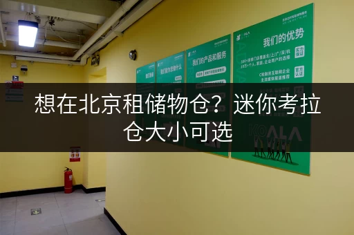 想在北京租储物仓？迷你考拉仓大小可选，租期灵活超划算