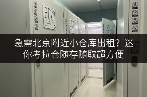 急需北京附近小仓库出租?迷你考拉仓随存随取超方便 急需北京附近小仓库出租?迷你考拉仓随存随取超方便
