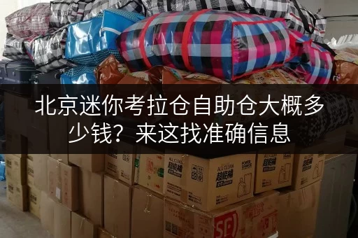 北京迷你考拉仓自助仓大概多少钱?来这找准确信息 北京迷你考拉仓自助仓大概多少钱?来这找准确信息