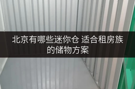 北京有哪些迷你仓 适合租房族的储物方案