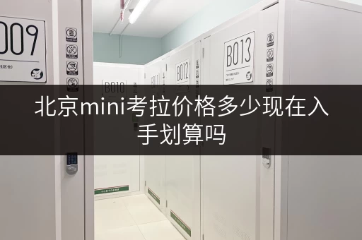 北京mini考拉价格多少现在入手划算吗