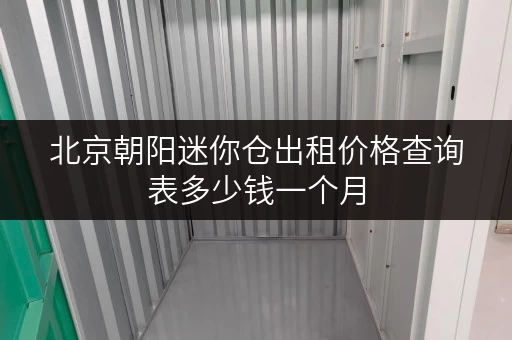 北京朝阳迷你仓出租价格查询表多少钱一个月