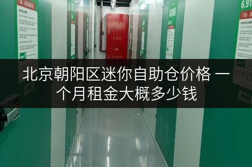 北京朝阳区迷你自助仓价格 一个月租金大概多少钱