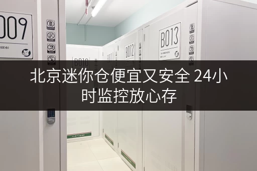 北京迷你仓便宜又安全 24小时监控放心存